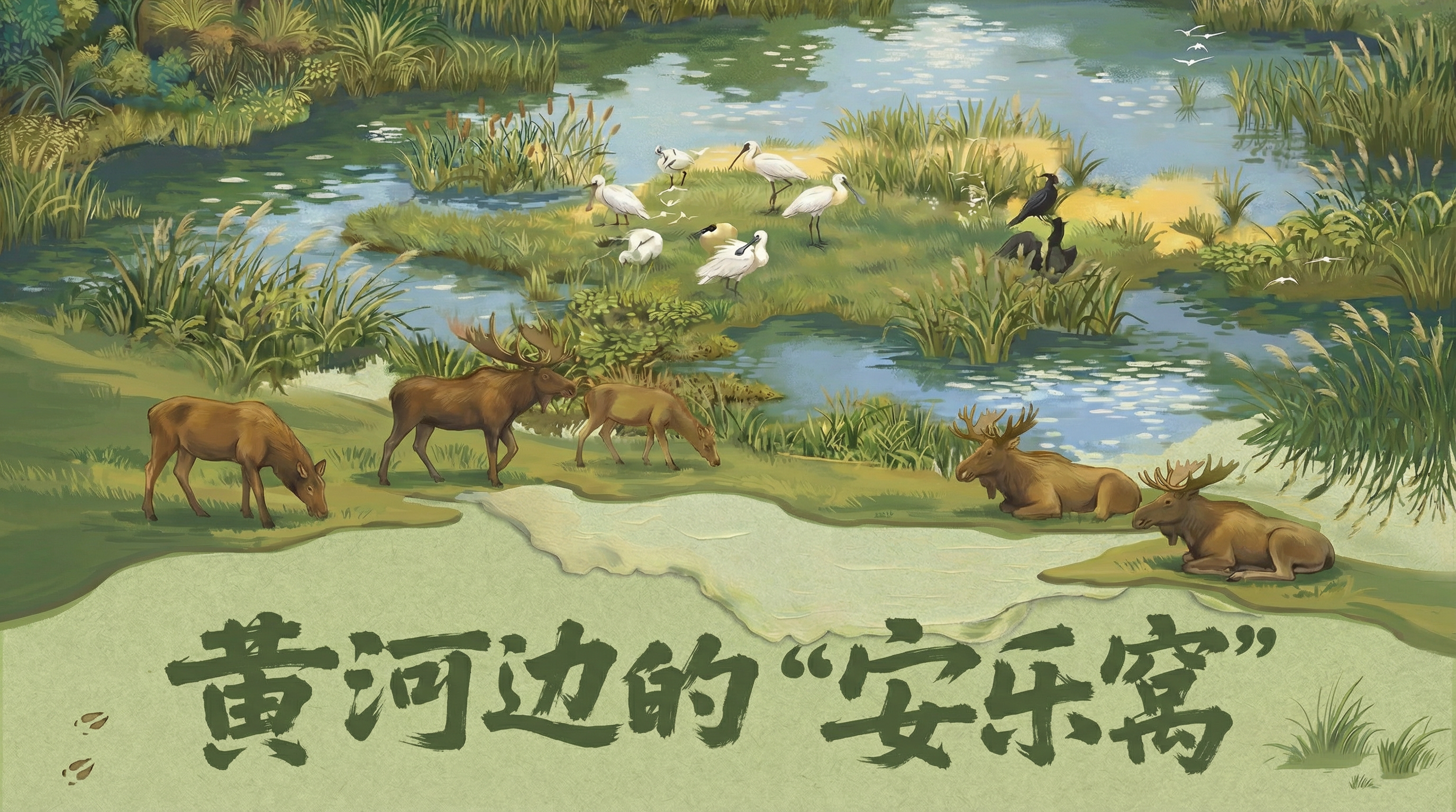 微信图片_20260625090546_778_144.png